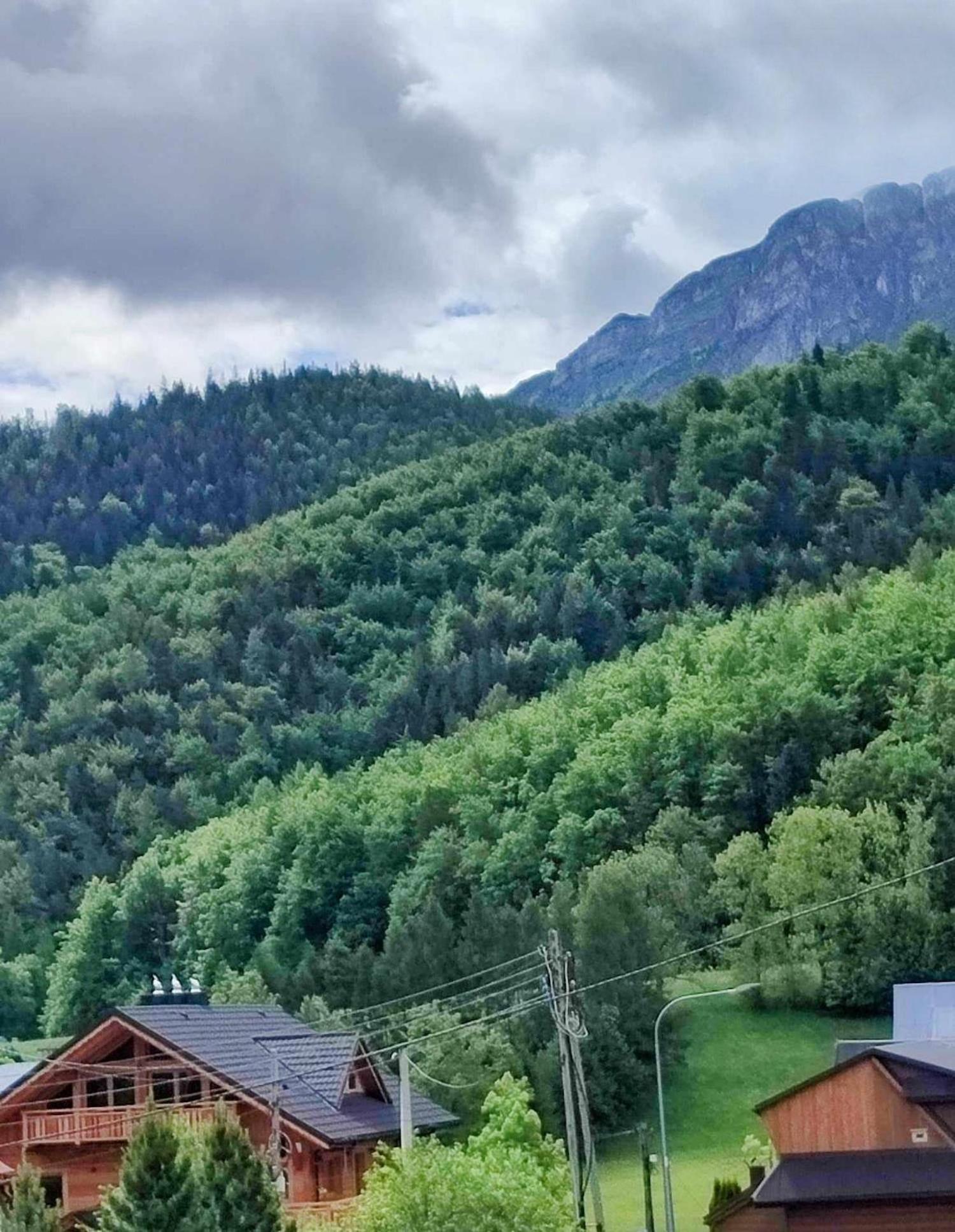Dom Lesnik Apartment Zakopane Exterior photo