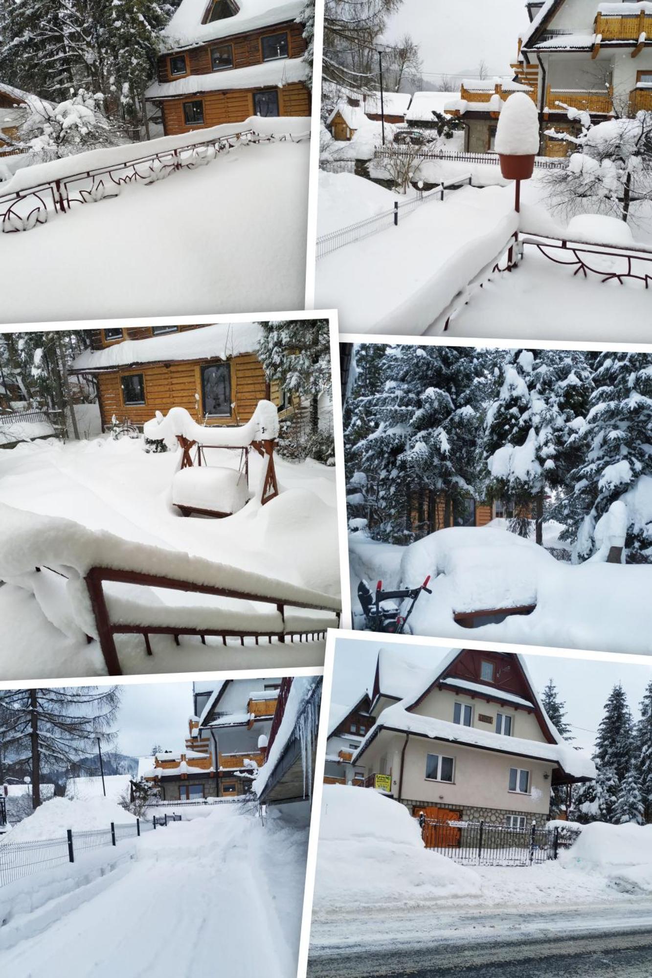 Dom Lesnik Apartment Zakopane Exterior photo